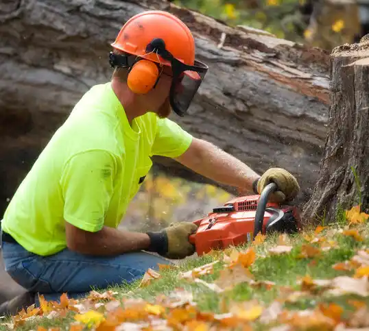 tree services Atlantic